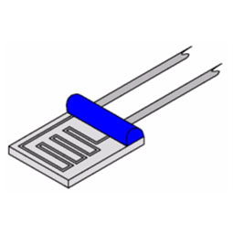 Platinum Resistor