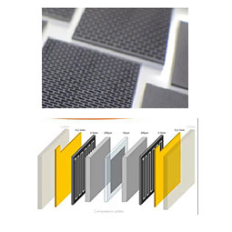 Fuel Cell